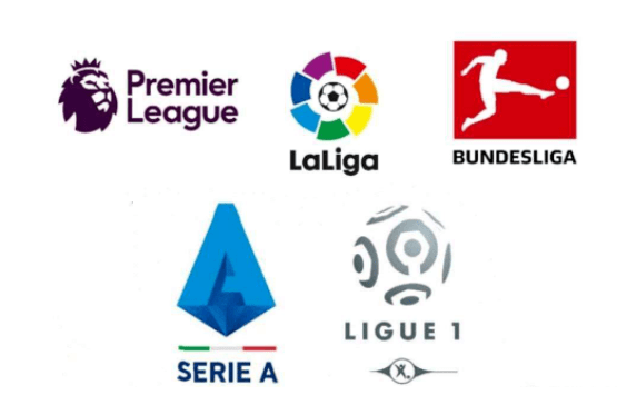 虽然新外援 虽然新外援